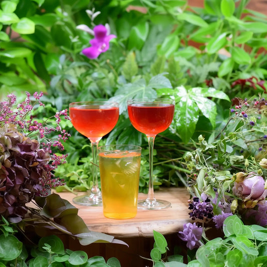 Gin Cocktail Kombo - 3 premium smaker för perfekta gindrinkar
