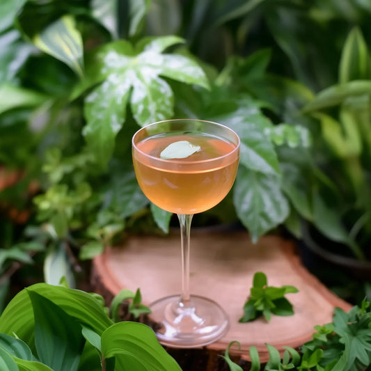 Holymolitan – Holy Basil, Schisandrabär & Apelsin
