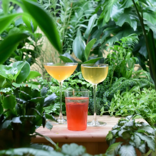 Tequila Cocktail Kombo - 3 kryddiga smaker för perfekta tequiladrinkar