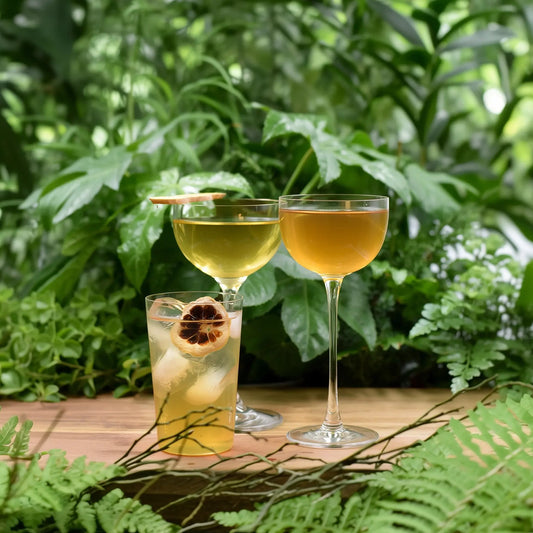 Vodka Cocktail Kombo - 3 spännande smaker för perfekta vodkadrinkar